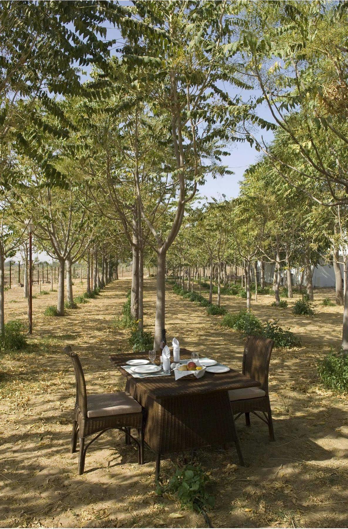 The Greenhouse Resort Pushkar Ngoại thất bức ảnh